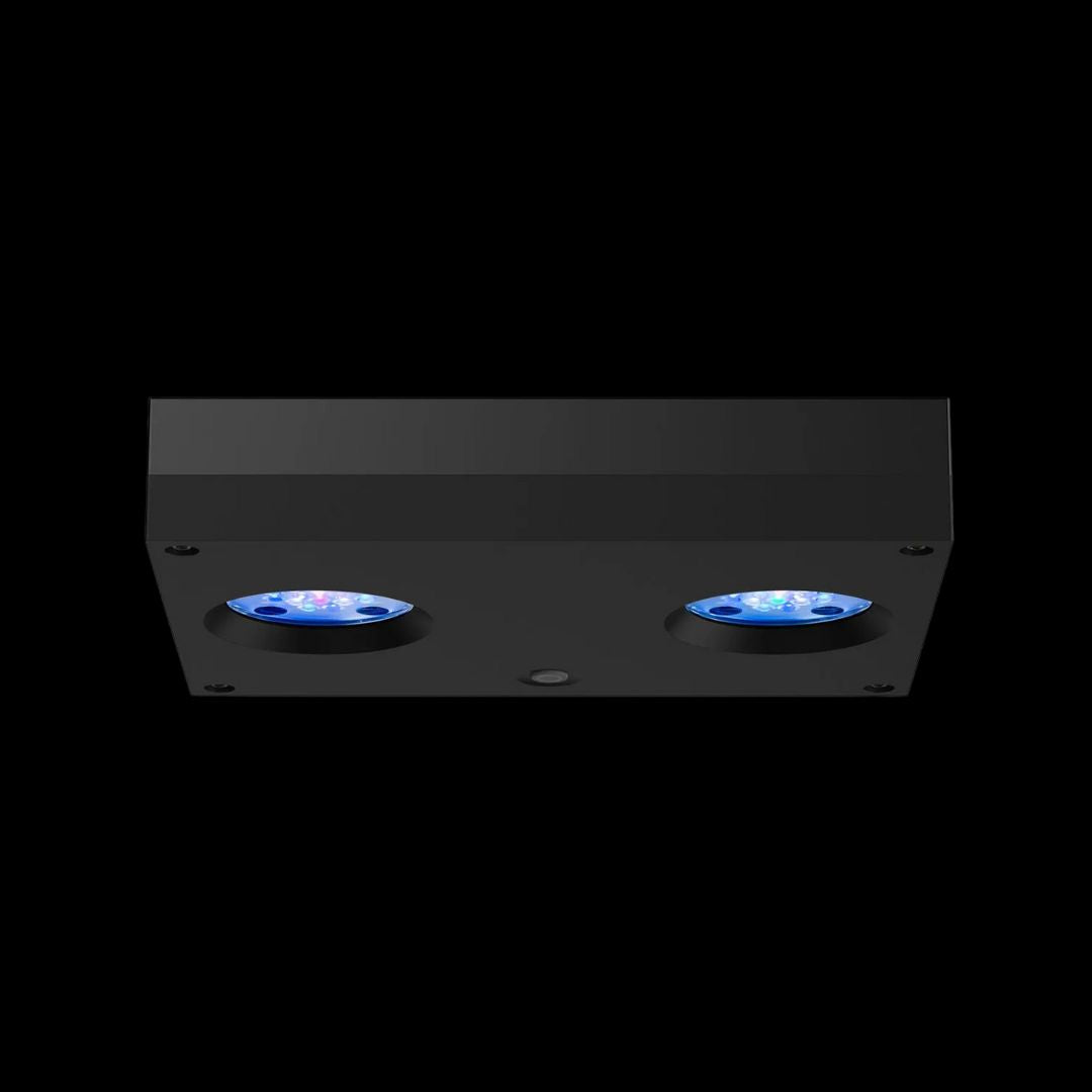 AI Hydra 32HD Reef Black