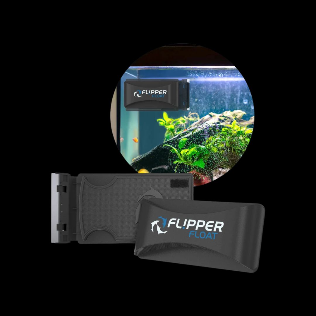 Flipper Float Magnetic Algae Scraper
