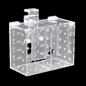Red Starfish QT Container RF-2S
