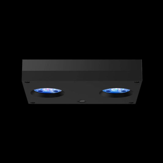 AI Hydra 32HD Reef Black