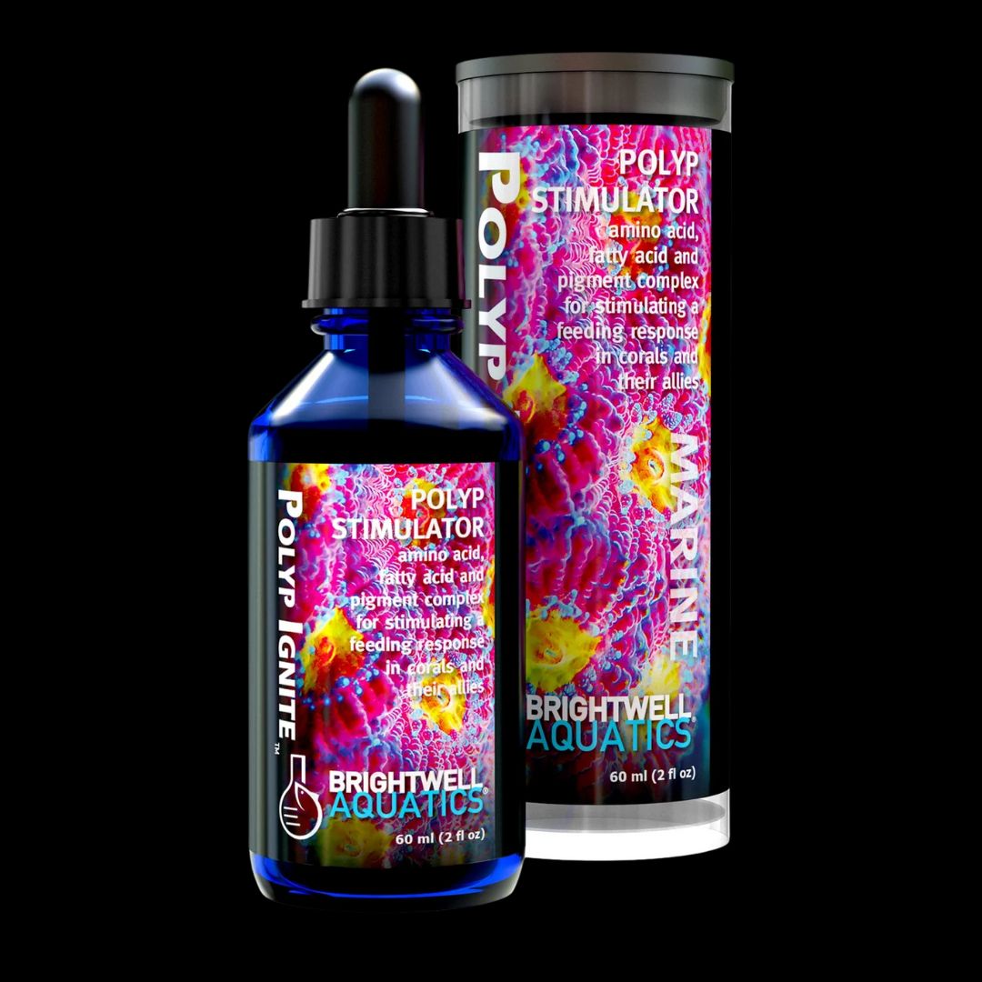 Brightwell Polyp Ignite