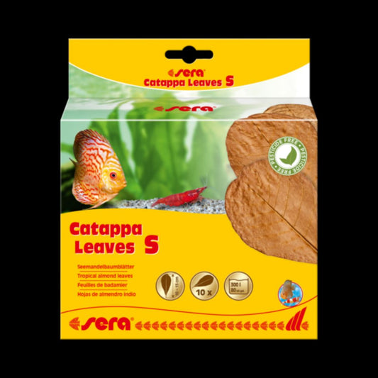 Sera Catappa Leavess