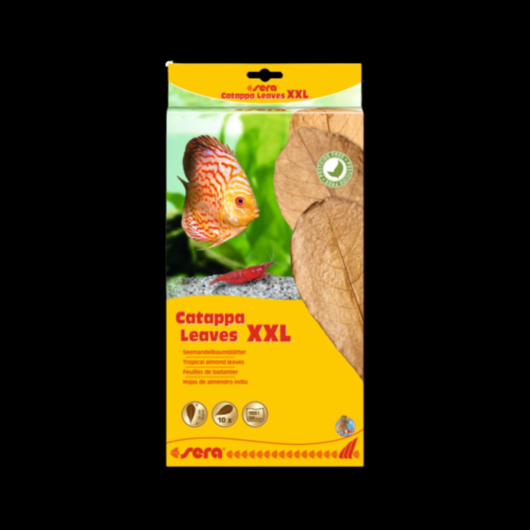 Sera Catappa Leavesxxl