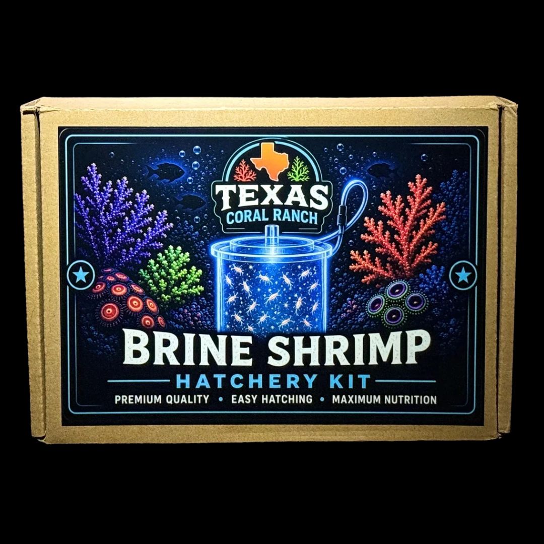 Texas Coral Ranch Brine Shrimp Hatchery Kit