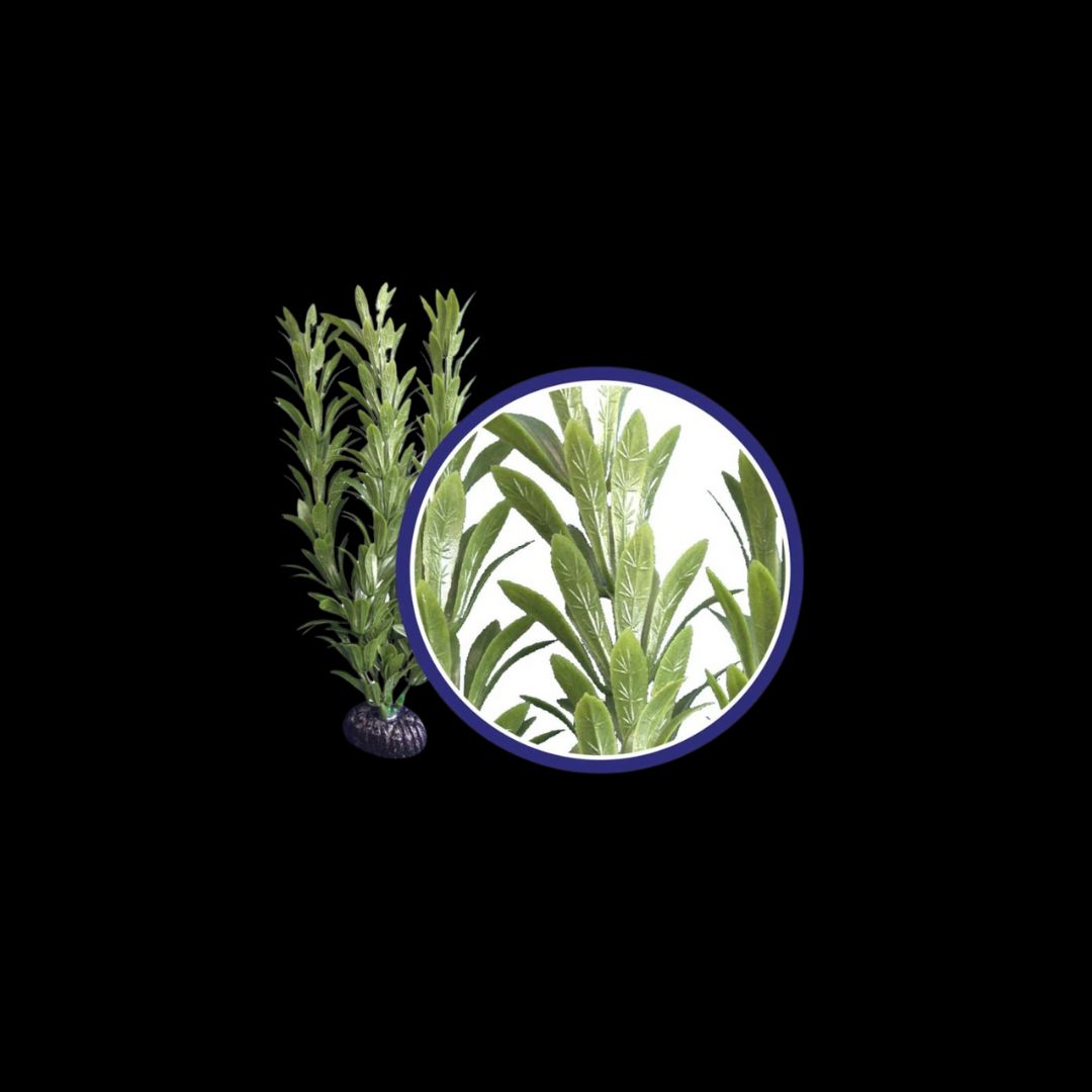 Weco Wonder Plant Anacharis