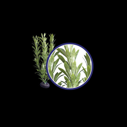 Weco Wonder Plant Anacharis