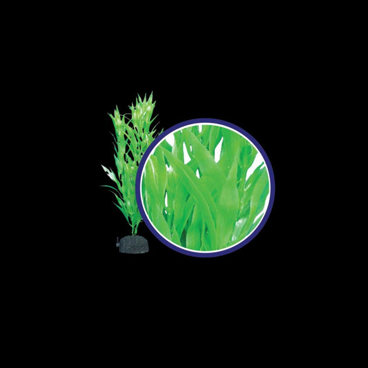 Weco Wonder Plant Bamboo Leaf