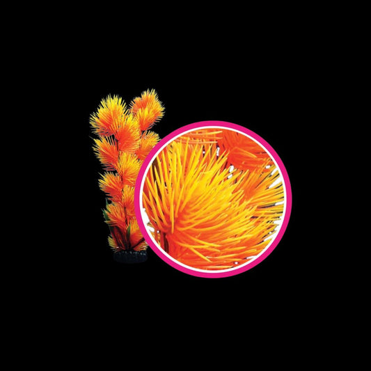 Weco Wonder Plant Orange Pom Pom