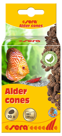 Sera Alder Cones
